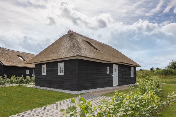 Luxe rietgedekte villa op Vakantiepark De Heihorsten in Someren - thumbnail 1