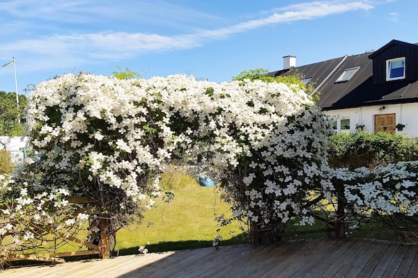 Ruim vakantiehuis voor 7 aan de Zweedse zuidkust, 80 meter van zee - thumbnail 5