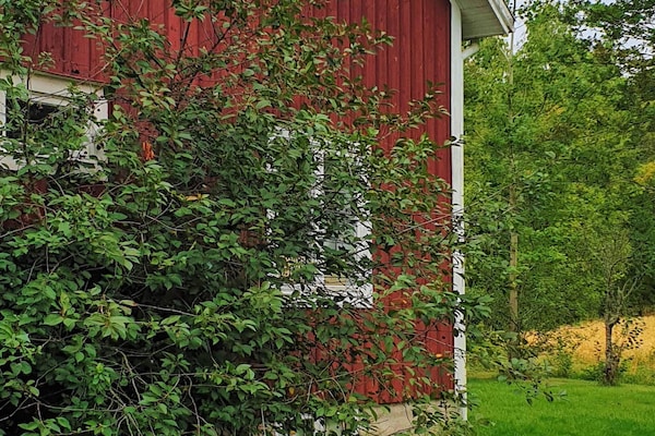 Authentiek Zweeds vakantiehuis aan de golfbaan in Järvsö, 4 personen - thumbnail 4