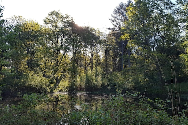 Groot vakantiehuis aan zee met panoramisch uitzicht op de Ebeltoft Vig - thumbnail 6