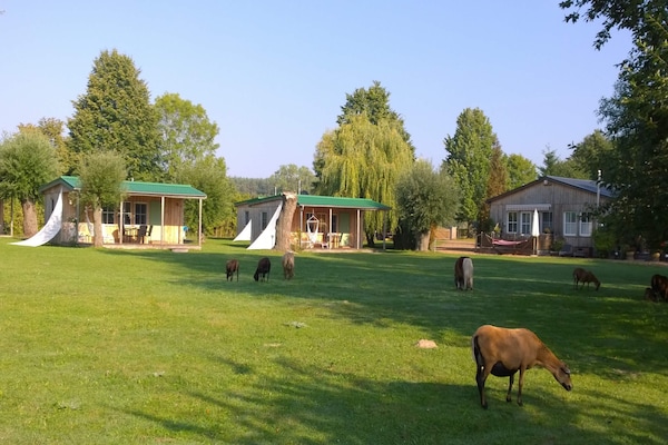 Aan het meer: Sfeervol vakantiehuis voor 2 personen in Lütow - thumbnail 6
