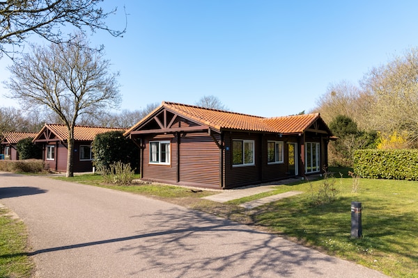 Vrijstaande houten bungalow voor 6 personen op de Veluwe - thumbnail 1