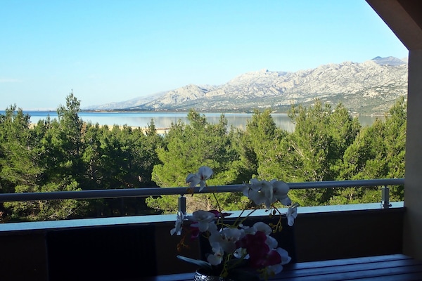 Ruim appartement op vakantiepark bij zee met uitzicht op Velebit - thumbnail 2