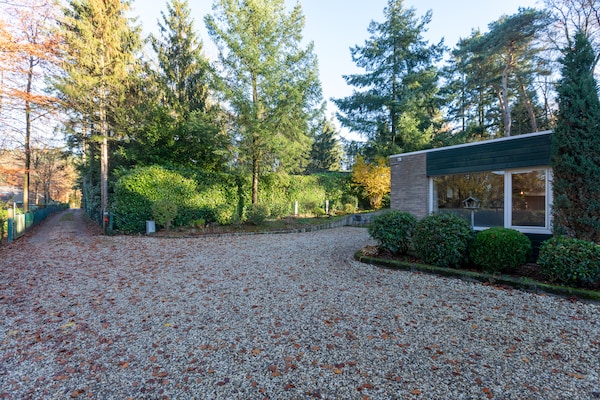 Romantische bosbungalow in Mook – huisdiervriendelijk en aan de golf - thumbnail 1