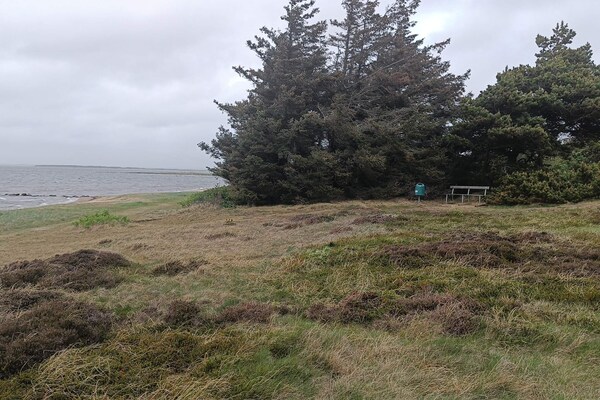 Licht vakantiehuis bij Skaven Strand op 600 meter van de Ringkøbing Fjord - thumbnail 3