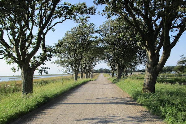 Vrijstaand vakantiehuis op 250 meter van zee in Bogense - thumbnail 2