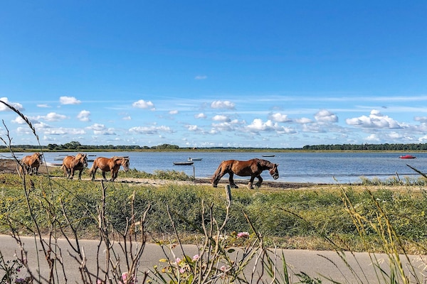 Knus vakantiehuis op 20 meter van zee bij Bogense - thumbnail 6