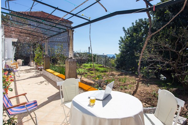 Knus appartement met gedeeld terras in Dubrovnik, vlak bij strand en Oude Stad - thumbnail 1