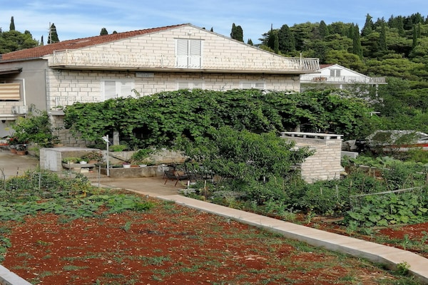 Knus appartement voor 2 met tuinterras op loopafstand van Korčula - thumbnail 6