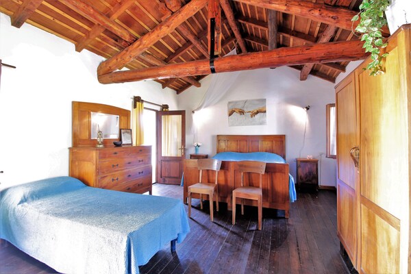 Rustiek vakantiehuis voor 4 aan de Piave met tuin en veranda in Borgo Valbelluna - thumbnail 4