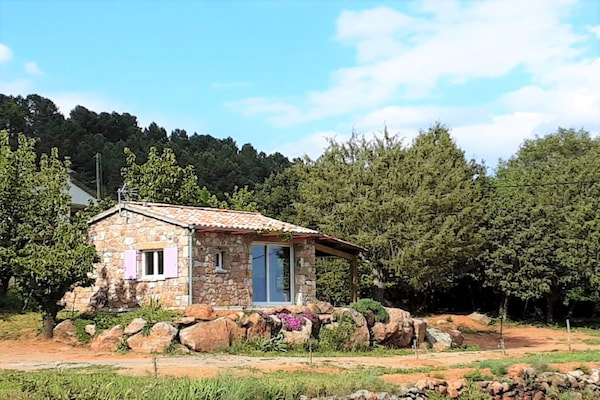 Sfeervol stenen chalet voor 2 personen in Chambonas - thumbnail 1