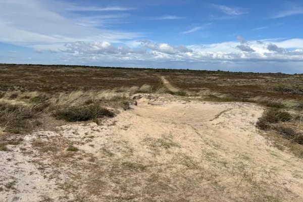 Architectonisch vakantiehuis met wellness op 800m van zee, Rømø - thumbnail 2