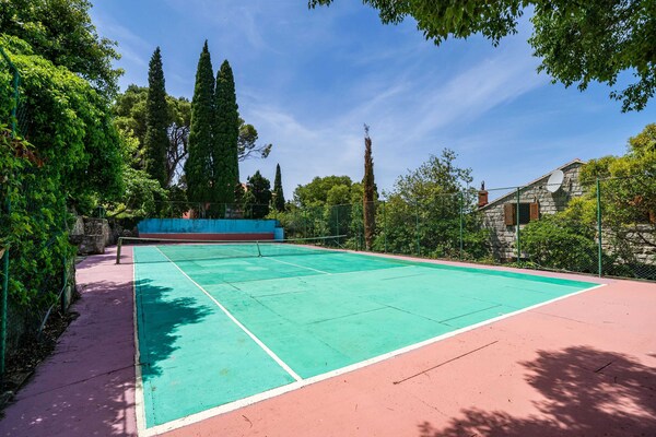 Kamer met zeezicht en gedeelde tuin op 100 meter van het strand in Cavtat - thumbnail 2