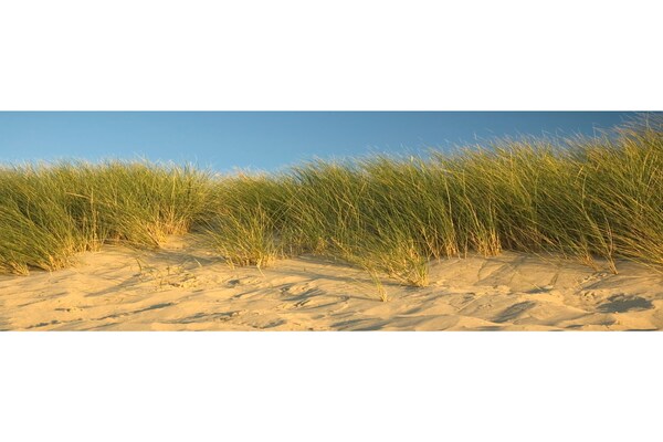 Wellness appartement aan meer in Colijnsplaat, Zeeland - thumbnail 6