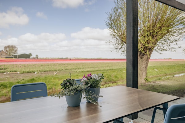 Eco-Chic Lodge aan het Markermeer: luxe, rust en honden welkom - thumbnail 5