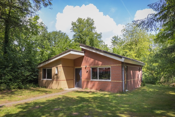 Vredige bosbungalow op de Veluwe met sauna en tuin - thumbnail 1