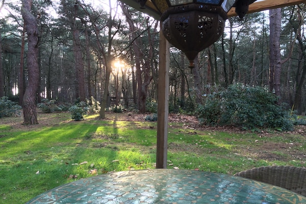 Gezellige bungalow voor twee in het groen van Lille - thumbnail 6