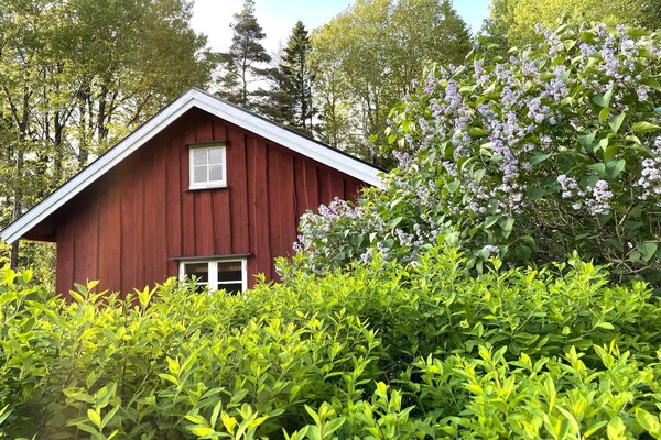 Charmant rood vakantiehuis bij bos en waterval in Uddevalla - thumbnail 2