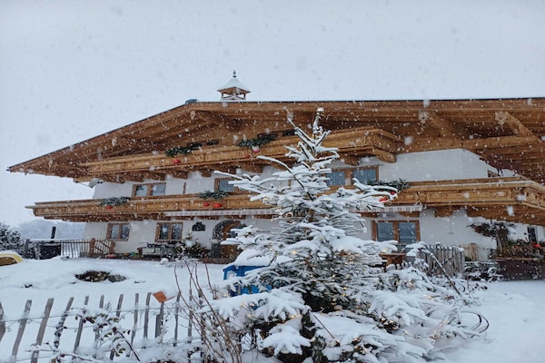 Aan de piste: ruim appartement op biologische boerderij in Saalfelden - thumbnail 6