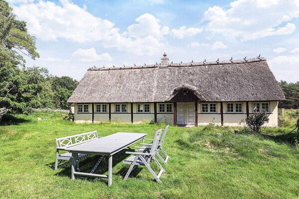 Sfeervol rietgedekt vakantiehuis midden in de natuur op Læsø - thumbnail 1