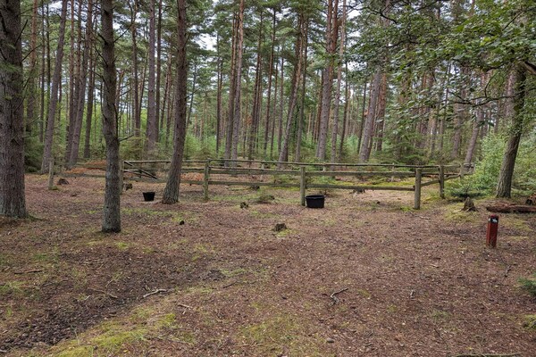 Sfeervol rietgedekt vakantiehuis midden in de natuur op Læsø - thumbnail 3