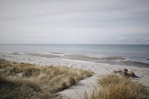 Sfeervol rietgedekt vakantiehuis midden in de natuur op Læsø - thumbnail 6
