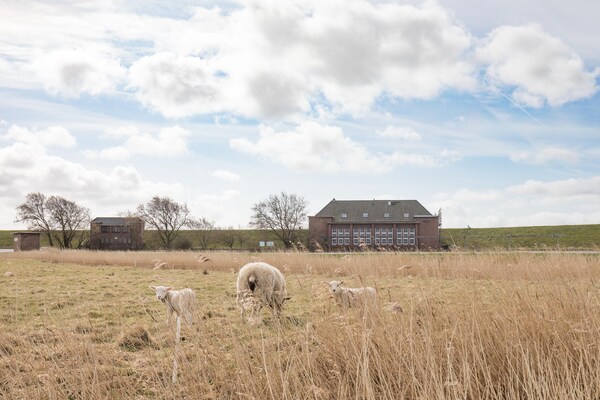 Appartement aan de Arlau Schleuse met weids uitzicht over natuurreservaat Beltringharder Koog - thumbnail 3