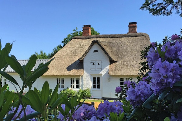 Idyllisch rieten vakantiehuis uit 1847 nabij Noordzee en Deense grens - thumbnail 1