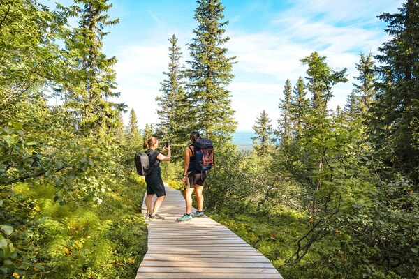Modern vakantiehuis voor 12 personen aan de golfbaan in Idre Himmelfjäll - thumbnail 5