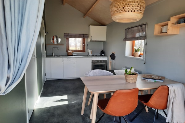 Acker Lodges 2: Ruim vakantiehuis voor 12 personen aan de weilanden van Drenthe - thumbnail 3