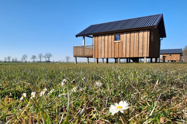 Acker Lodges 3: 16-persoons groepsaccommodatie aan weilanden in Drenthe - thumbnail 1