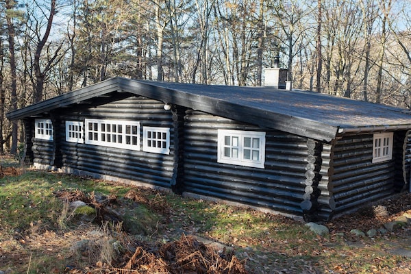 Rustiek vakantiehuis Bjælkely in het bos bij Frederiksværk - thumbnail 1