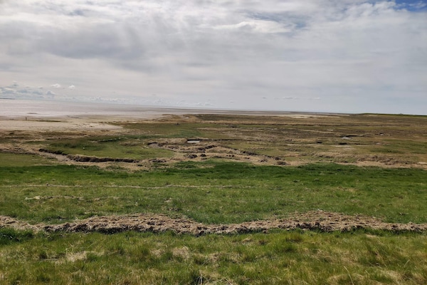 Knus vakantiehuis op Rømø met weids uitzicht over de Waddenzee - thumbnail 6