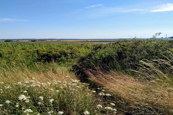 6-persoons vakantiehuis in Rønde op 300 meter van het strand - thumbnail 3