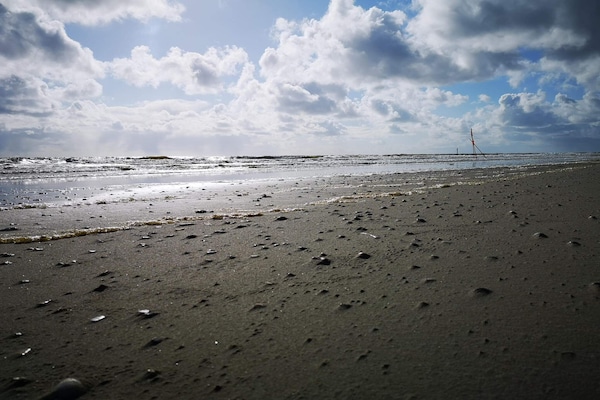 Vrijstaand vakantiehuis aan de golfbaan bij Blåvand, 2 km van strand - thumbnail 4