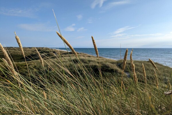 Compleet gerenoveerd vakantiehuis op 150m van het strand bij Nissum Fjord - thumbnail 4