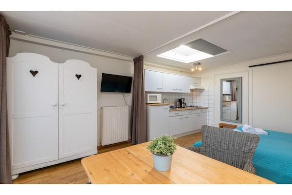 Studio aan zee in Westkapelle: knus, huisdiervriendelijk en 150m van strand - thumbnail 6