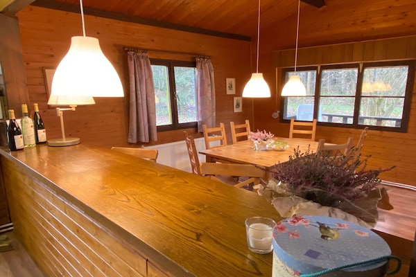 Bosrijk vakantiehuis voor 5 in Eschede met tuin, hond welkom - thumbnail 5