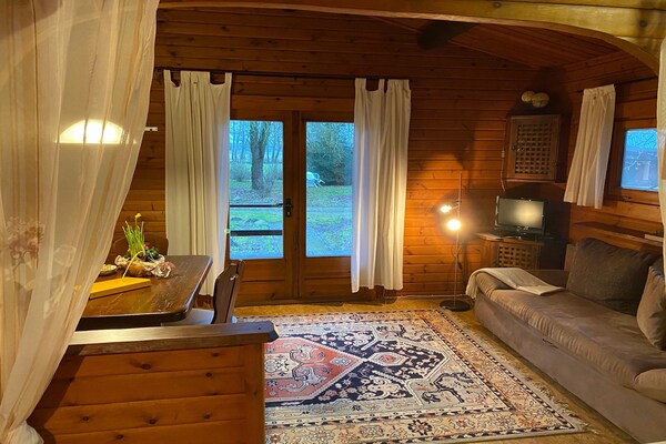 Knus vakantiehuis voor 3 in de bossen van Eschede, hondvriendelijk - thumbnail 3