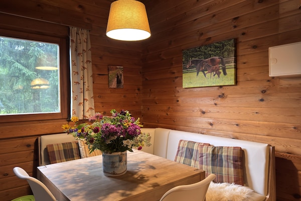 Huisdiervriendelijk vakantiehuis in Eschede voor 4 personen - thumbnail 6