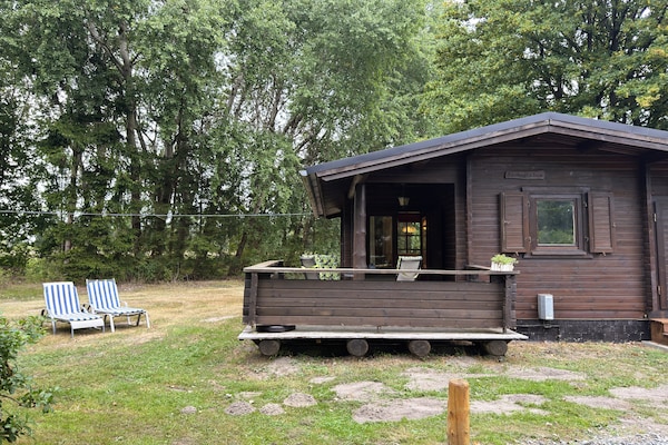 Huisdiervriendelijk vakantiehuis in Eschede voor 4 personen - thumbnail 1
