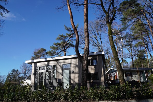 Modern boshuisje met haard op huisdiervriendelijk vakantiepark in Hoenderloo - thumbnail 4
