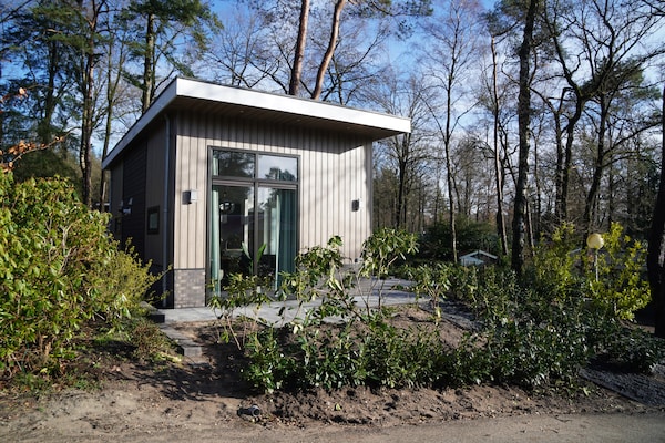 Modern boshuisje met haard op huisdiervriendelijk vakantiepark in Hoenderloo - thumbnail 6