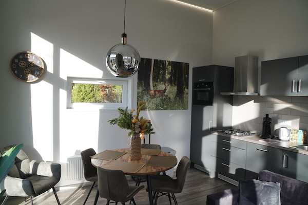Modern boshuisje met haard op huisdiervriendelijk vakantiepark in Hoenderloo - thumbnail 5