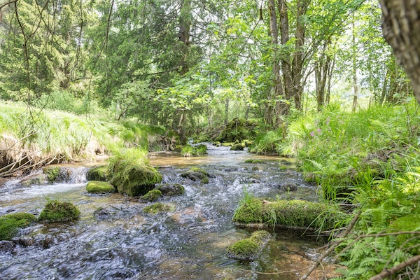 Bergchalet met natuurlijke zwembeek aan de bosrand in Schwarzenberg - thumbnail 4
