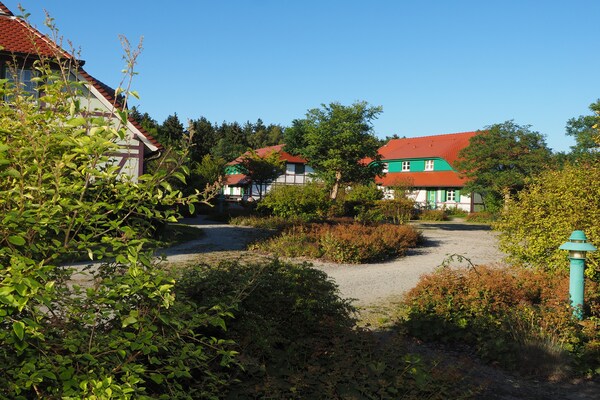 Op 800 m van zee: Comfortabel appartement voor 4 personen in Dranske - thumbnail 4
