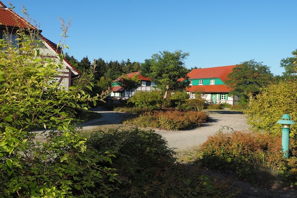 Licht appartement voor 4 op vakantiepark Rugana, 800m van strand - thumbnail 5