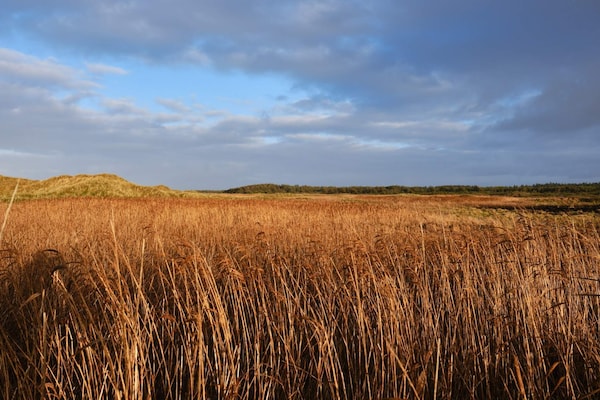 Knus vakantiehuis bij strand en golfbaan in Blokhus - thumbnail 2