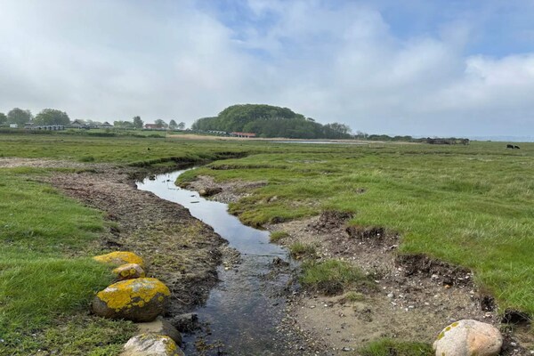 Sfeervol vakantiehuis met eigen bosje in Ærøskøbing - thumbnail 3