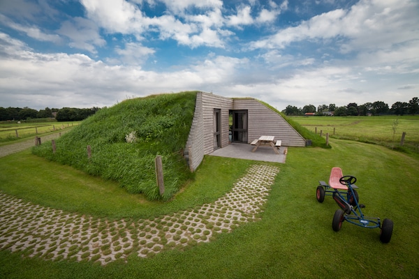 Koe in de Kost 4: Designbungalow met groen dak in het Sallandse landschap - thumbnail 1